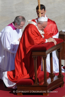 1-Domenica delle Palme e della Passione del Signore &ndash; Santa Messa