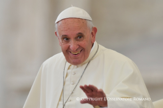 8-Incontro con il Movimento del Rinnovamento nello Spirito 