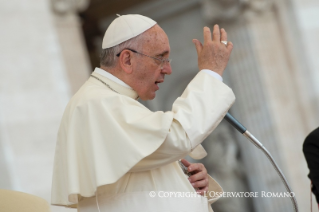 15-Incontro con il Movimento del Rinnovamento nello Spirito 