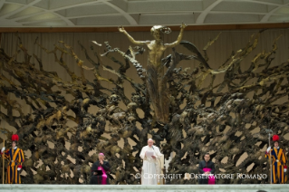 8-Audiencia general, 7 de enero de 2015