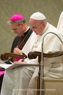 8-Udienza al Movimento Eucaristico Giovanile (MEG)