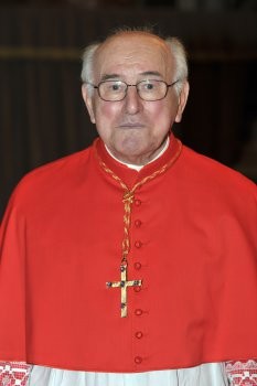 Image result for Cardinal Walter BrandmÃ¼ller